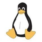 Auf dem Bild sieht man einen Pinguin. Er ist das Symbol des Linuxtreffs. 