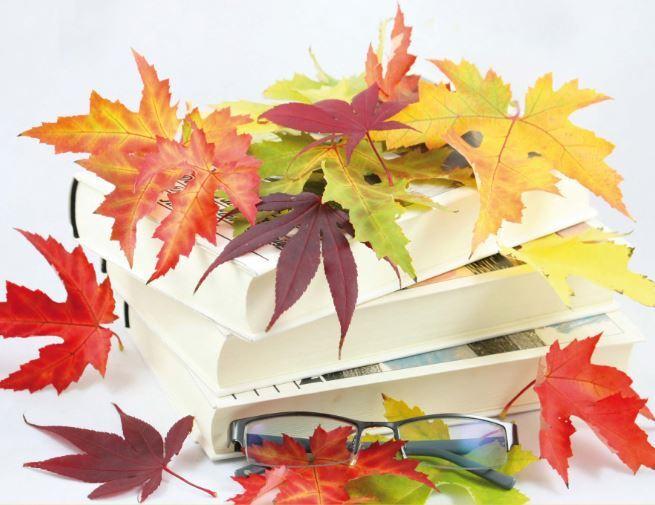 Auf dem Bild sieht man viele bunter Herbstblätter, die einen Stapel Bücher bedecken. Im Vordergrund liegt eine Lesebrille.