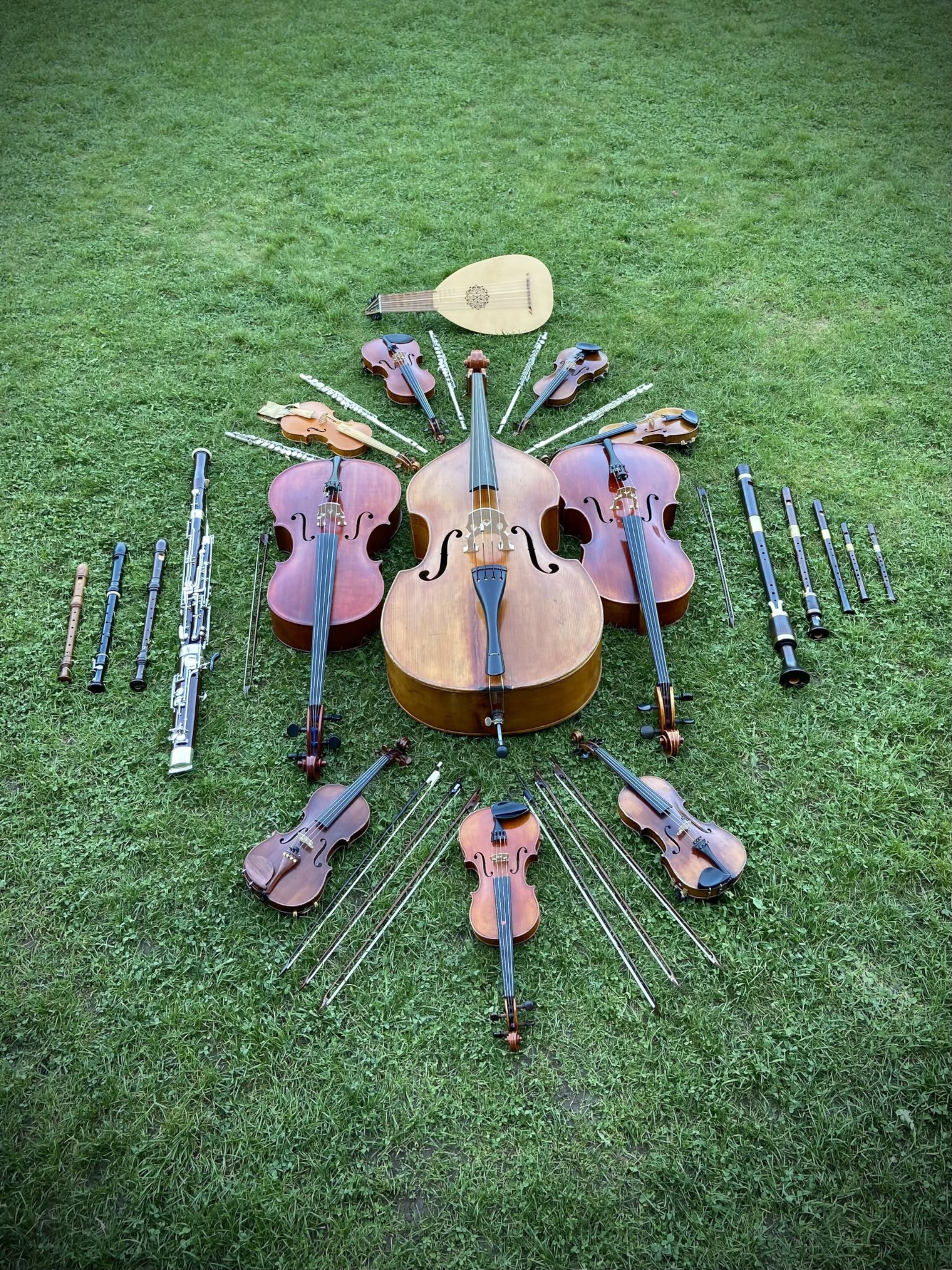 Verschiedene Musikinstrumenten sind im Kreis auf einer Wiese angeordnet und sehen aus wie eine Instrumentensonne.