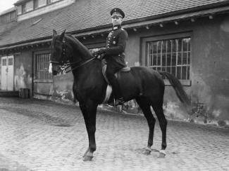 Wilhelm Bross